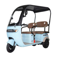 Tricycle pour passagers, tricycle à 3 roues pour adultes, vélo familial