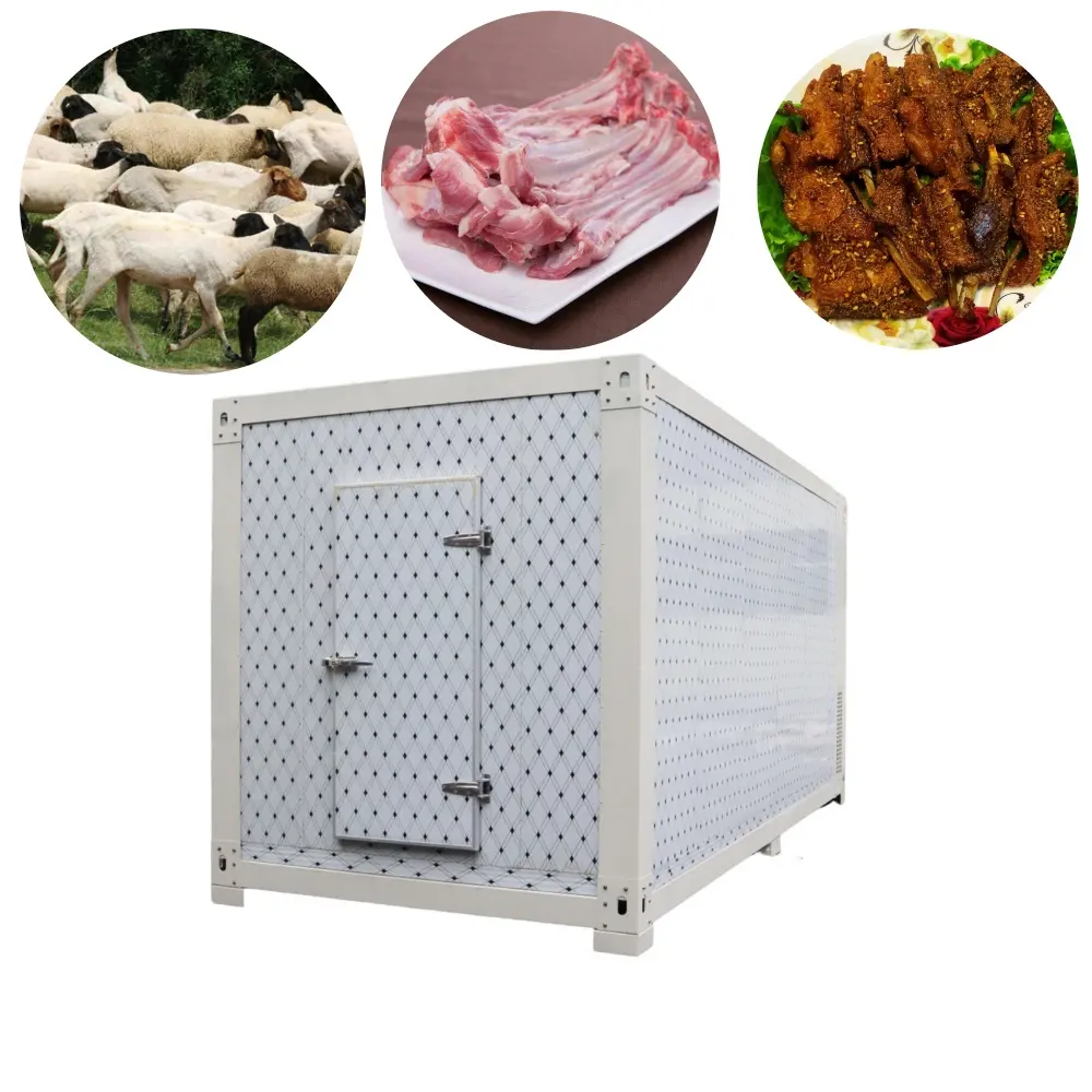Factory EXW Price Walk-In Freezer For Frozen Chicken Fish And Beef Storage Cold Room