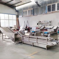 TEKFOOD Ligne de traitement des aliments Machine à oeufs de caille Chaudière à oeufs de caille et brise-coquille Machine industrielle de cuisson des oeufs de caille