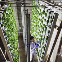 Étagère d'affichage de croissance de planteuse de système hydroponique de plantation verticale de tuyau de PVC de haute qualité
