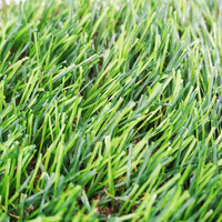 Hanwei Rumput Buatan Empat Warna, Rumput Buatan Pemandangan Bagus Dekorasi Rumput Buatan