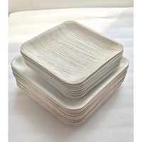 Plaques de bambou jetables en feuille de palmier Areca biodégradables de 10 pouces personnalisées en gros