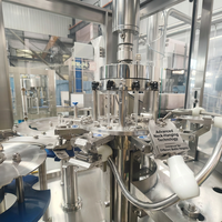 Machine industrielle monobloc entièrement automatique à grande vitesse pour le rinçage, le remplissage et le bouchage de bouteilles en PET et en verre pour eau pure minérale