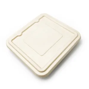 Kingwin Biodegradable Eco-friendly Compostable Disposable Bagasse Food Container