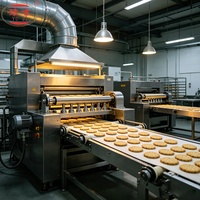 Ligne de production complète de biscuits durs avec machine à former les biscuits, four et système d'emballage