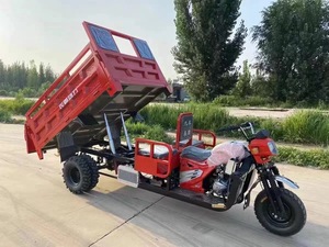 Sepeda Motor Roda Tiga Bensin Buatan Cina, Tricycle Bermotor Pengangkut Barang - Product Image 4