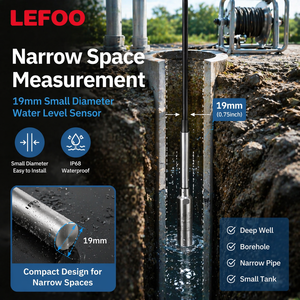 משדר מפלס מים LEFOO עם כבל ארוך, עמיד למים בתקן IP68, חיישן מפלס דק למדידת צינורות צרים ובארות עמוקות - Product Image 1