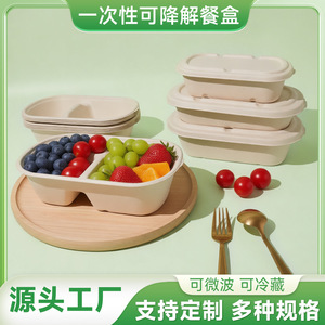 Boîte à lunch rectangulaire jetable en pulpe de canne à sucre biodégradable, résistante à l'eau et à l'huile, de qualité alimentaire, utilisable au micro-ondes - Product Image 5