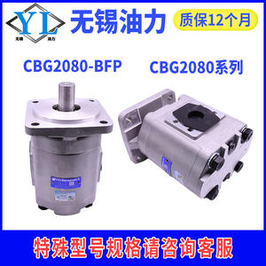 Bomba de Aceite para Engranajes Serie CBW/CBF de Hefei Changyuan, Nueva Condición, Componentes de Bomba de Aceite para Sistema de Enfardadora Hidráulica - Product Image 3