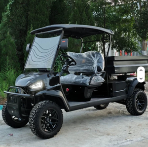 Carrito de Golf Eléctrico con Caja HKBG, Certificado por el DOT, Nuevo Carrito de Golf Eléctrico - Product Image 4