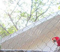 Maille de fil pour volière de perroquets / Panneaux de maille pour volière d'oiseaux / Maille de volière en acier inoxydable pour volière accessible