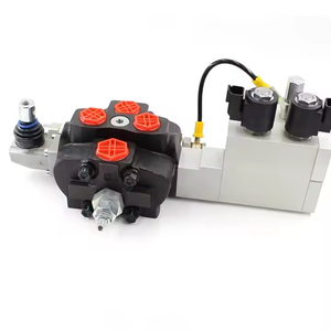 วาล์วไหลชดเชยแรงดันไฟฟ้า-ไฮดรอลิก SD8ฉลากส่วนตัววาล์วไฮดรอลิก: เพิ่มแบรนด์ของคุณด้วย SD8 - Product Image 1