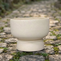 Design minimaliste glaçure mouchetée cactus mat pot de plante succulente décoration de la maison pots de fleurs et jardinière