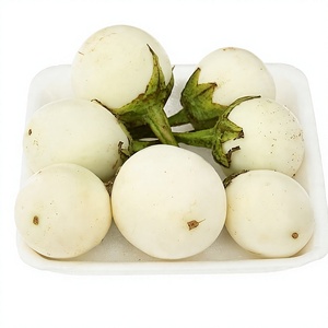 Berenjenas enlatadas, dulces y ácidas, encurtidas, berenjenas blancas cortadas a la mitad, Ca Phao, comida tradicional vietnamita, aperitivo, frasco de vidrio, 800g, OEM - Product Image 1