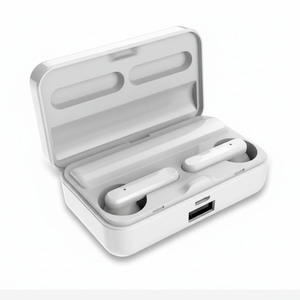Casque intra-auriculaire sans fil Bluetooth 5.0 avec microphone, étanche IPX4, pilote dynamique, chargement Type C, réduction du bruit ambiant - Product Image 1