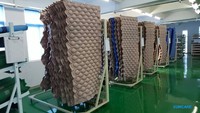 SUNCARE Matelas à pression alternée anti-décubitus pour transfert de patient Matelas pneumatique médical gonflable avec pompe