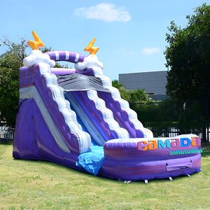Toboggan aquatique gonflable personnalisé violet pour enfants et adultes, avec piscine, idéal pour les fêtes et la <span class=keywords><strong>location</strong></span> - Product Image 4