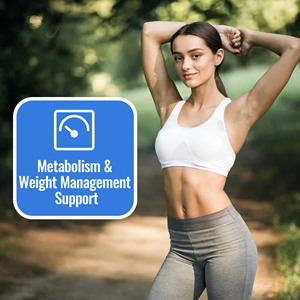 Wholesale Womens <b>Menopause</b> Herbal Tea Apple Cinnamon Flavor 30 Tea Bags Support Metabolism Energy and Digestive Wellness - Product Image 6