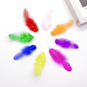 Plumas de Colores para <span class=keywords><strong>Manualidades</strong></span>, Educación Temprana, Creación Artística, Carnaval, Cosplay, Decoración de Paredes y Bodas, Proyectos DIY - Product Image 6