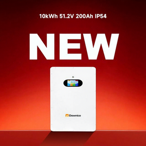 Batterie au phosphate de fer et de lithium 5 kWh 51,2 V 200 Ah avec BMS intelligent, certifiée CAN CE, garantie 10 ans pour système solaire domestique mural - Product Image 1