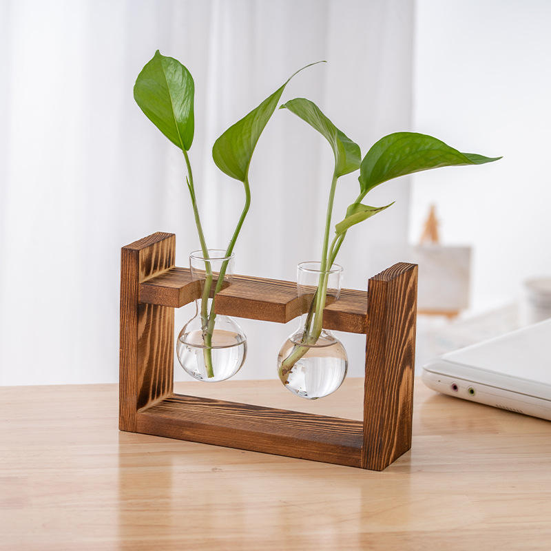 ลูกบอล ขวดคู่ สี