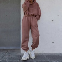 2025 ODM personnalisé femmes hiver Streetwear ensembles tissu éponge pantalons de survêtement et sweat à capuche fabricants-survêtements pour femmes