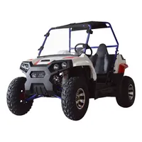 Gasoline Beach Dune Buggy Cross Go Karts for Adults