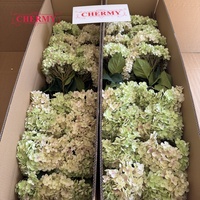 Hortensia artificiel en soie verte à grosse tête de 30cm Fausse fleur décorative en gros pour la décoration