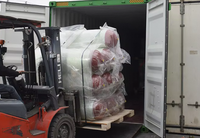 Tanques de Almacenamiento de Gas para Automóviles, Cilindros de Gas de Alta Presión de GNC de Segunda Mano, Envueltos con Materiales Compuestos de Fibra 325-356-406