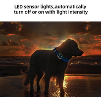 Traceur Gps Anti-vol pour animaux 4G, de chien et de chat, dispositif de suivi du collier avec temps réel, plate-forme Mini