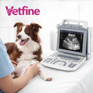 Appareil d'échographie <span class=keywords><strong>vétérinaire</strong></span> portable électrique VET modèle B/W pour examen <span class=keywords><strong>clinique</strong></span> - Product Image 2