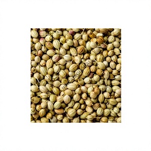 Graines de coriandre entières séchées biologiques, épice naturelle indienne de Coriandre de Delhi - Product Image 1
