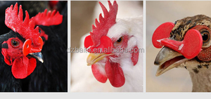 Nuevas <span class=keywords><strong>Gafas</strong></span> Anti-picaduras para Pollos <span class=keywords><strong>de</strong></span> Plástico Rojo <span class=keywords><strong>de</strong></span> 5.5/7cm con Diseño <span class=keywords><strong>de</strong></span> Orificios para Uso en Granjas, Hechas en China, 6 Meses <span class=keywords><strong>de</strong></span> Garantía - Product Image 6