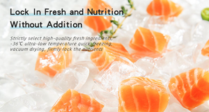 น้ำมันปลาแซลมอนสำหรับสัตว์เลี้ยง น้ำมันปลาแซลมอนจากอลาสก้าสำหรับสุนัขและแมว น้ำมันปลาแซลมอนเสริมโอเมก้า-3 - Product Image 3