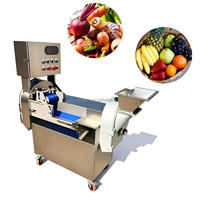 Dubbele Koppen Multifunctionele Snijmachine voor Bladgroenten, Wortelgroenten, Chinese Prei, Kool, Ui, Ananas