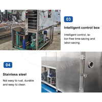 ORME Machine à lyophiliser les aliments Fruits Légumes Liofilizador Café instantané Lyophilisateur aggloméré pour fleurs