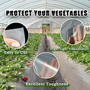 Oferta Especial: Lámina de Invernadero UV de 0.5m-14m Directo de Fábrica para Jardín - Product Image 4
