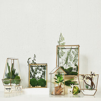 Terrarium en verre moderne avec design géométrique or et noir pour plantes succulentes, cactus, fougères et fleurs décoratives
