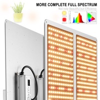 120W 240W 480W Commercial LED Grow Light Board LM301B UV IR pour la culture hydroponique à effet de serre