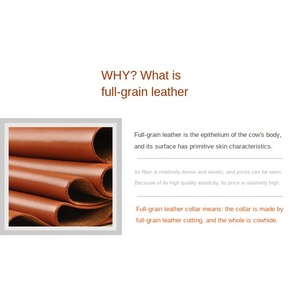 <span class=keywords><strong>Collar</strong></span> de perro de cuero genuino personalizado <span class=keywords><strong>Collar</strong></span> de perro con hebilla de aleación marrón y correa para perro - Product Image 5