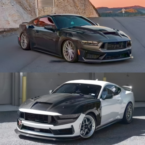 2015-2024สำหรับ Ford Mustang TF สไตล์คาร์บอนไฟเบอร์ชุดกระโปรงท้ายรถชุดระบายอากาศแบบเปิดรูและฝากระโปรงกระจายความร้อน - Product Image 4