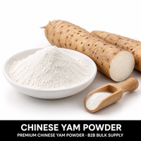 Poudre de Yam Chinois Pur en Gros, Poudre de Yam Huai Ultra Fine 200 Mesh, Sans Additifs, Marque Privée OEM pour Boisson Solide