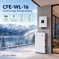 Batterie solaire LiFePO4 Longue Durée CFE CFE-WL-16 Split 16kWh (options 5/10kWh) 6000 cycles avec BMS intelligent et protection CAN multi-niveaux