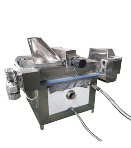 Automatic Peanut Fry Machine for Groundnuts Competitive Price & 1Year Warranty