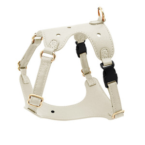 Arnés, Correa, Collar, Anillo para el Cuello y Diadema para Perro con Diseño de Dibujos Animados - Product Image 5