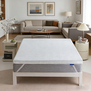 Vente directe usine : <span class=keywords><strong>Matelas</strong></span> en mousse à mémoire de forme pour étudiants, coussins fins et doux en éponge pour hôtels et dortoirs (taille et épaisseur personnalisables) - Product Image 1