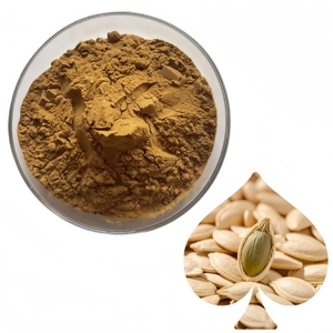 Fornitura di Fabbrica all'Ingrosso: Polvere di Estratto di Semi di Zucca di Alta Qualità, 100% Pura, Polvere Vegetale Biologica Sfusa - Product Image 3