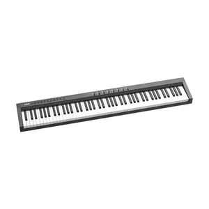 Konix 전자 오르간 88 키 조명 피아노 키보드 전문 디자인 전기 피아노 음악 MIDI 키보드