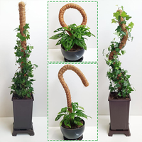 Support en fibre de coco minimaliste et écologique pour plantes d'intérieur, idéal pour la maison et le bureau
