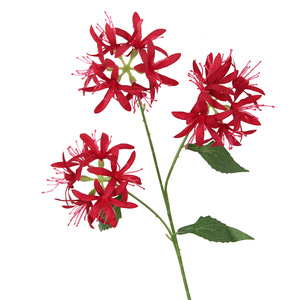 Fleurs artificielles Lycoris Radiata, 3 têtes, en soie, rouge, rose, vert, pour décoration de mariage, arrangements floraux - Product Image 3